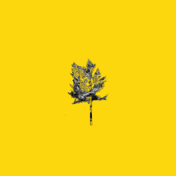 Conner Youngblood - a few extra tracks from Cheyenne