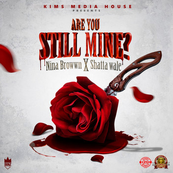 Nina Browwn, Shatta Wale - Are You Still Mine