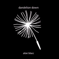Aloe Blacc - Dandelion Down