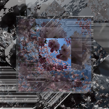Singular & Slim Vic - Körsbärsblom