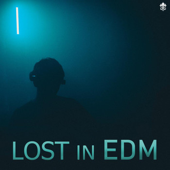 Various Artists - Lost In EDM