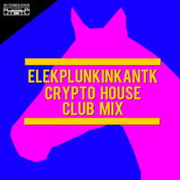 Elekplunkinkantk - Crypto House (Club Mix)