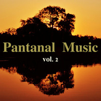 Almir Sater - Pantanal Music, Vol. 2