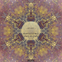 Mr Hart - Breaking the Wall
