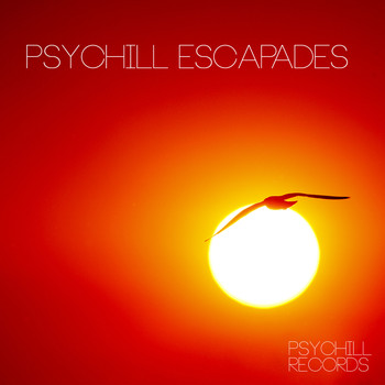 Various Artists - Psychill Escapades