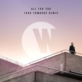 Wilkinson - All For You (Todd Edwards Remix)