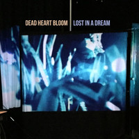 Dead Heart Bloom - Lost in a Dream