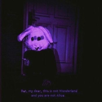 Apollo - Wonderland? (Explicit)