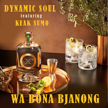 Dynamic Soul - Wa Bona Bjanong