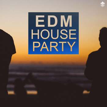 Various Artists - EDM House Party