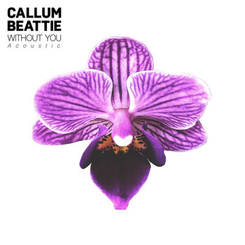 Callum Beattie - Without You (Acoustic Version)
