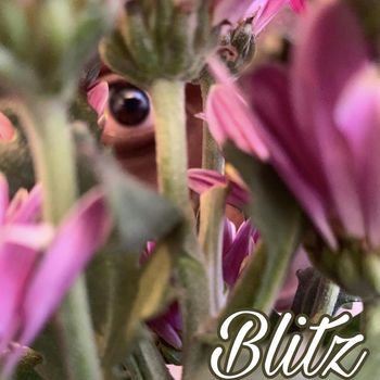 Blitz - LOST LOVE (Explicit)