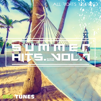 Various Artists - Summer Hits Dance Edition, Vol. 7