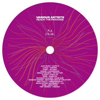 Various Artists - Reach The Paradise