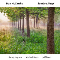 Dan McCarthy - Sombre Sleep (feat. Randy Ingram, Michael Bates & Jeff Davis)