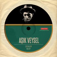 Aşık Veysel - Çiçekler / Necip