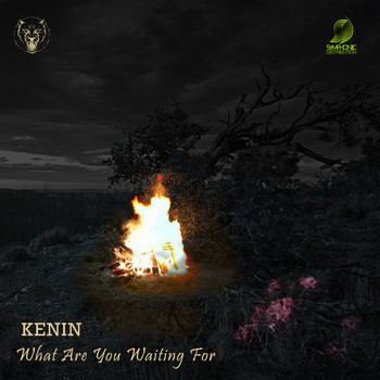 KENIN - What Are You Waiting For