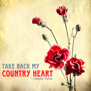 Various Artists - Take Back My Country Heart, Vol. 3