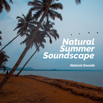 Natural Sounds - Natural Summer Soundscape