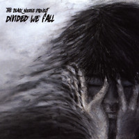 The Black Noodle Project - Divided We Fall