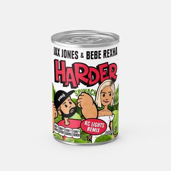 Jax Jones - Harder (KC Lights Remix)