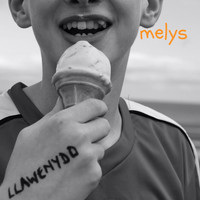 Melys - Llawenydd