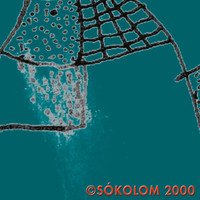Csókolom - Csókolom 2000