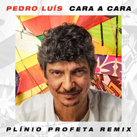 Pedro Luís - Cara a Cara (Plínio Profeta Remix)