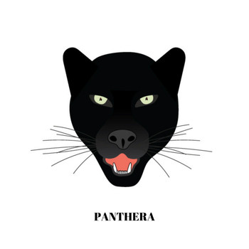 Mansa Obi - Panthera (Explicit)