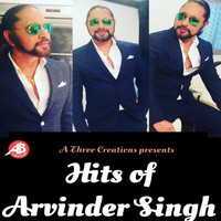 Arvinder Singh - Hits of Arvinder Singh