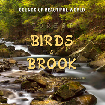 Sounds of Beautiful World - Forest: Birds & Brook (Nature Sounds for Relaxation, Meditation, Healing & Sleep)