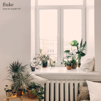 Fluke - How We Wonder