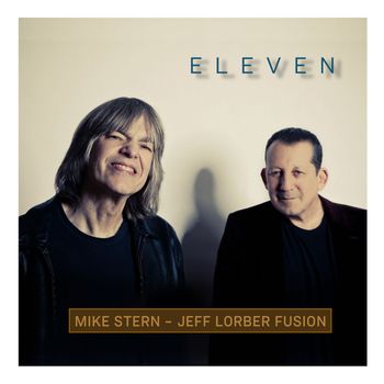 Mike Stern - Ha Ha Hotel