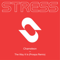 CHAMELEON - The Way It Is (Prospa Remix)