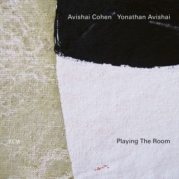 Avishai Cohen - Playing The Room