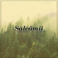 Tudor Gheorghe - Salcâmii