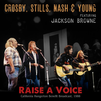 Crosby, Stills, Nash & Young - Raise a Voice (Live 1988)