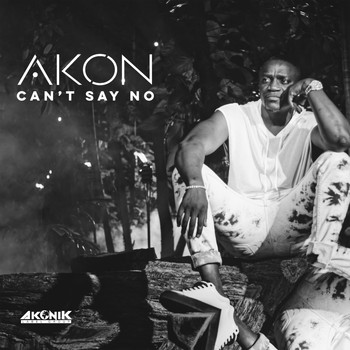 Akon - Can't Say No (Explicit)
