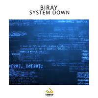 Biray - System Down