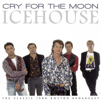 IceHouse - Cry For The Moon (Live 1988)
