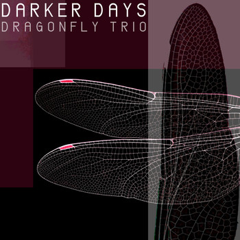Dragonfly Trio - Darker Days