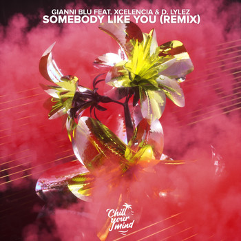 Gianni Blu - Somebody Like You (Remix)
