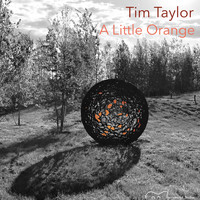 Tim Taylor - A Little Orange