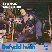 Dafydd Iwan - Tywysog Tangnefedd