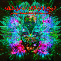 Wave Savage - Psychedelic Grooves