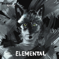 Unplugged - Elemental