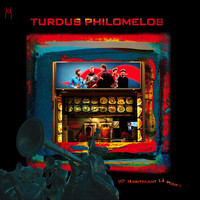 Turdus Philomelos - Ici maintenant là pouf !