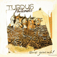 Turdus Philomelos - Grive générale!