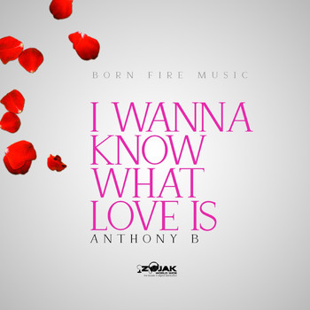 Anthony B - I Wanna Know What Love Is