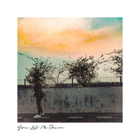 Paper - You Let Me Down